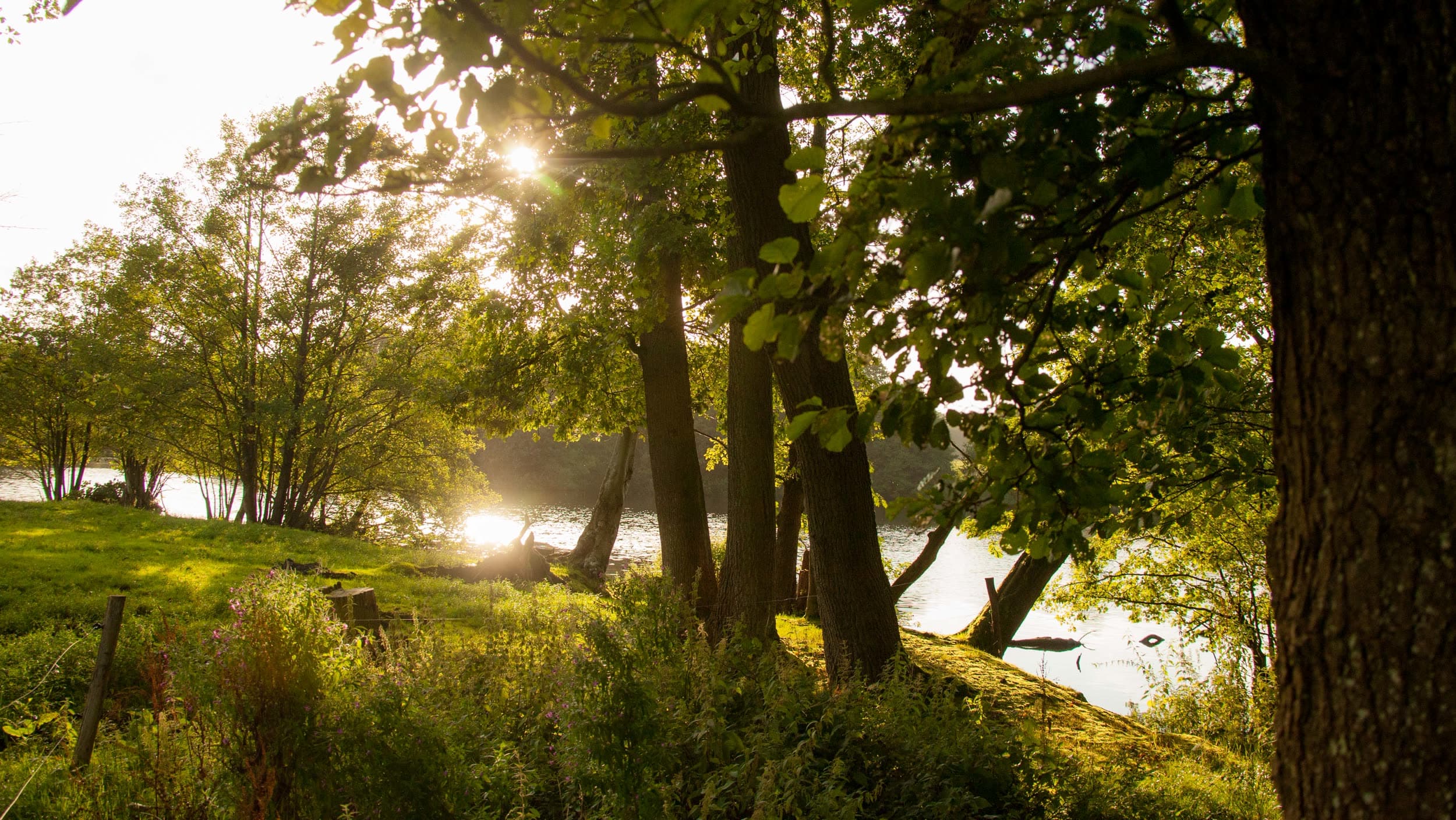 Mühlenteich mit Gegenlicht und Bauernhaus