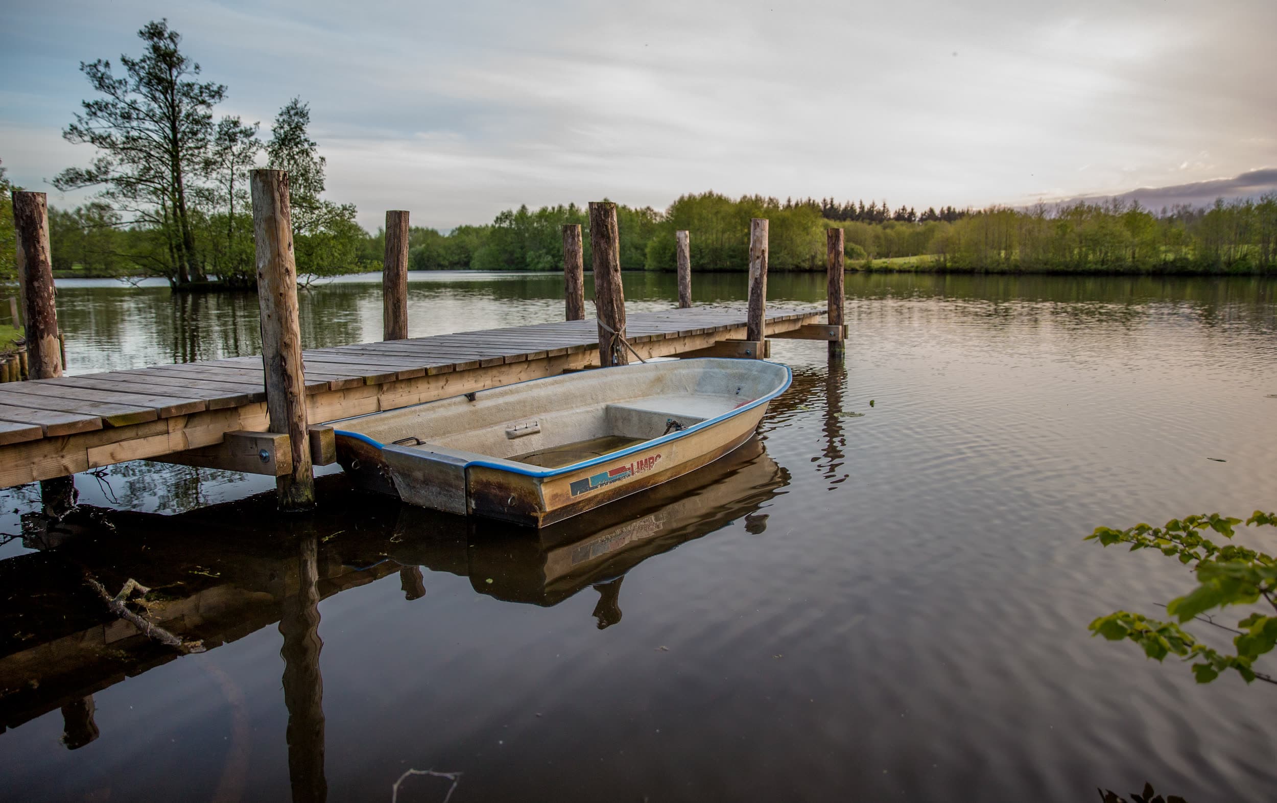 Mühlenteich mit Bäumen am Ufer